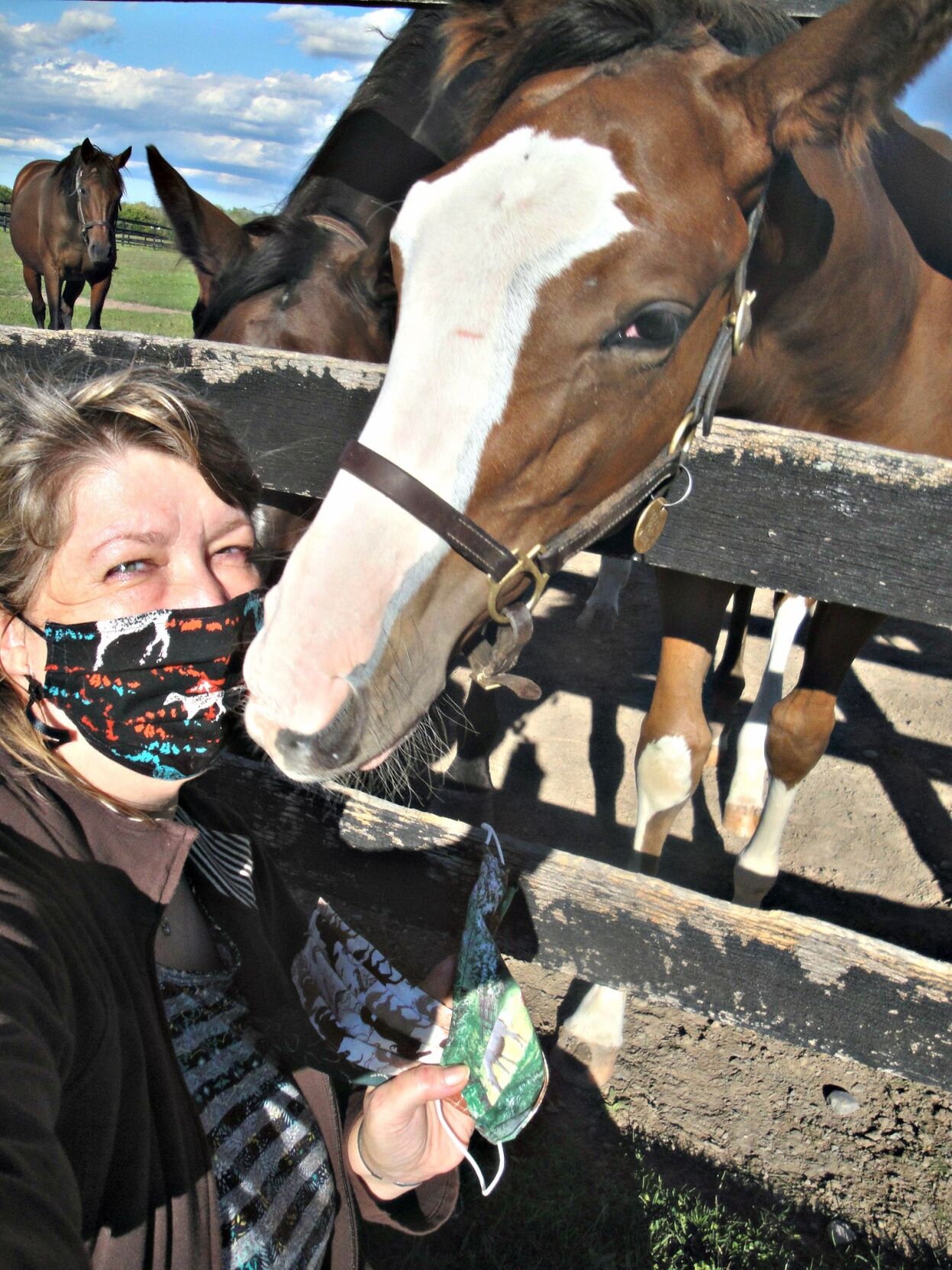 Elizabeth Hendy Masks a five-month-old thoroughbred